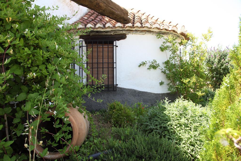 Cuevas Del Zenete Apartment Alcudia de Guadix Ngoại thất bức ảnh